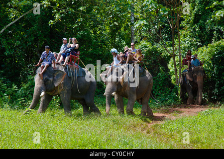 ELEPHANT RIDES are one of the activities available near KHAO SOK NATIONAL PARK - SURAI THANI PROVENCE, THAILAND MR Stock Photo