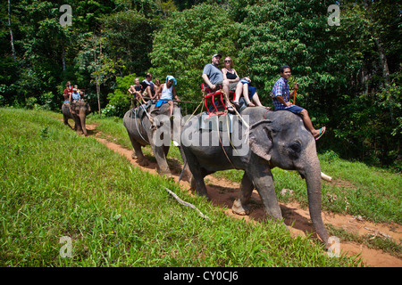 ELEPHANT RIDES are one of the activities available near KHAO SOK NATIONAL PARK - SURAI THANI PROVENCE, THAILAND MR Stock Photo