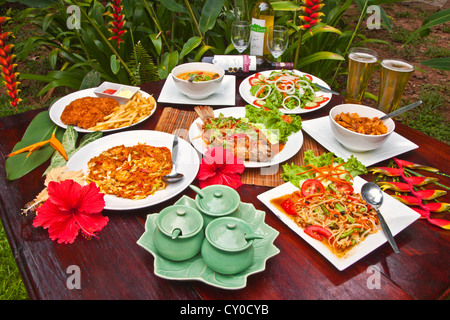 Delicious THAI CUISINE is served at OUR JUNGLE HOUSE near KHAO SOK NATIONAL PARK - SURATHANI PROVENCE, THAILAND Stock Photo