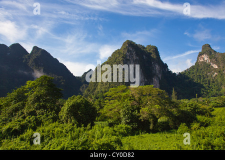 Rainforest mist lingers in the KARST FORMATION in KHAO SOK NATIONAL PARK - SURAI THANI PROVENCE, THAILAND Stock Photo
