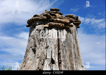 Cairn on a dead tree against a blue sky with clouds, in a landscape garden in Dennenlohe, Middle Franconia, Bavaria Stock Photo