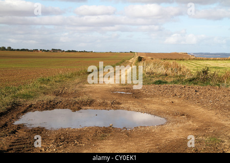 Road across farm fields near coast. Stock Photo