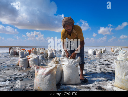 Man Collecting Salts In Barr Al Hikman Salt Lake, Oman Stock Photo