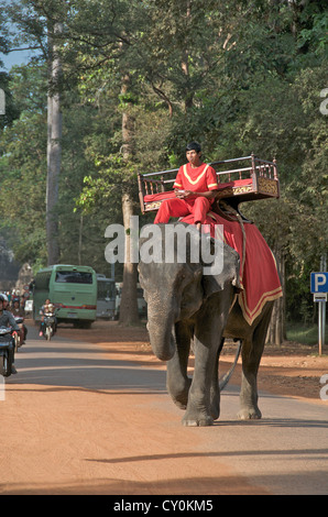 elephant crossing road near Angkor Vat Cambodia Stock Photo