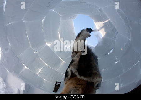 building an iglo on the north pole Stock Photo