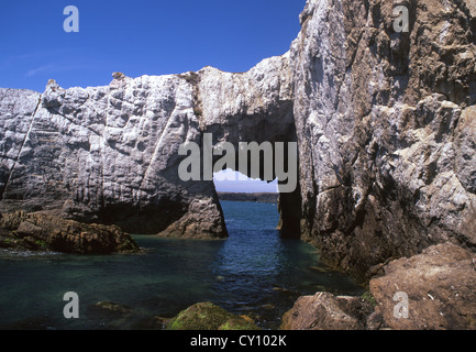 Bwa Gwyn (White Arch) Natural rock arch on coast of Holy Island Near Rhoscolyn Holy Island Anglesey North Wales UK Stock Photo
