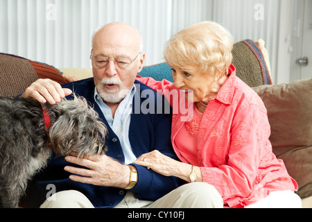 Senior couple at home with their adorable scruffy little dog. Stock Photo