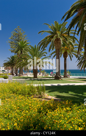 Portugal, the Algarve, Armacao de Pera, sea-front gardens Stock Photo