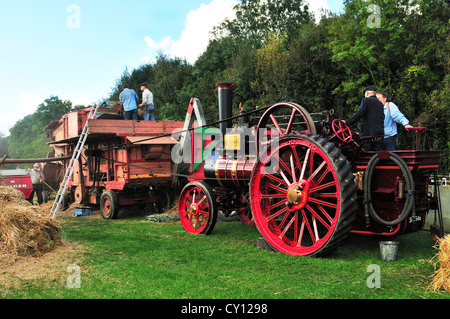 Foden Steam engine and  Marshall Sons & Co. Ltd. Threshing drum process in action, threshing out the grain from the straw. Stock Photo