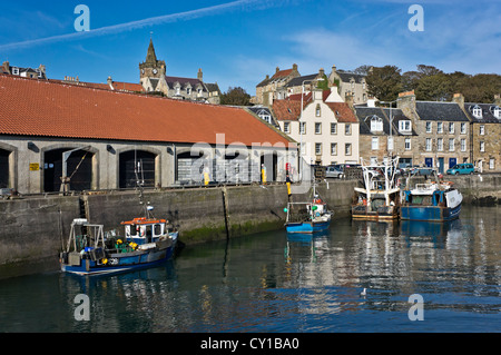 Fishing boats at the Fish Market pier in Pittenweem Harbour Fife Scotland Stock Photo