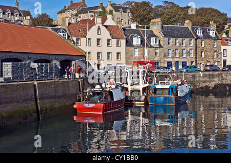 Fishing boat has just arrived in Pittenweem harbour Fife Scotland and offloading the catch of the day at the Fish Market Stock Photo