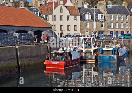 Fishing boat has just arrived in Pittenweem harbour Fife Scotland and offloading the catch of the day at the Fish Market Stock Photo