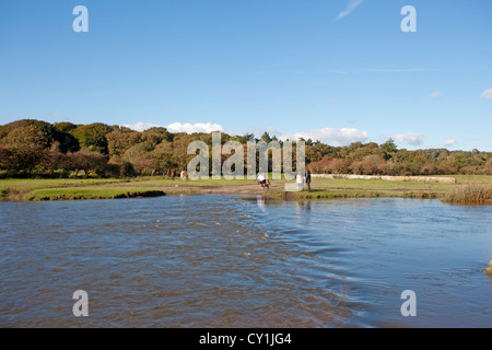 stepping stones under water at ogmore by the sea Stock Photo