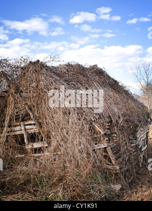 abandoned old farm buildings barn with blue sky Stock Photo