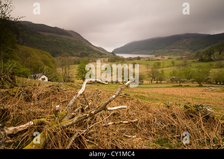 Crafnant Valley, Snowdonia, North Wales Stock Photo