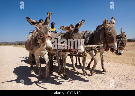 donkey cart in Namibia Stock Photo