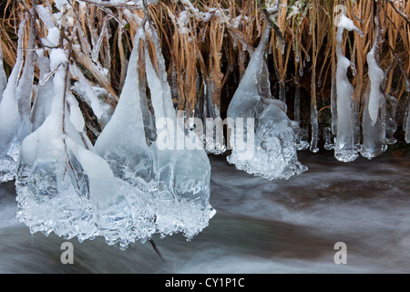 Icicles over water along river in winter in the Harz National Park, Germany Stock Photo