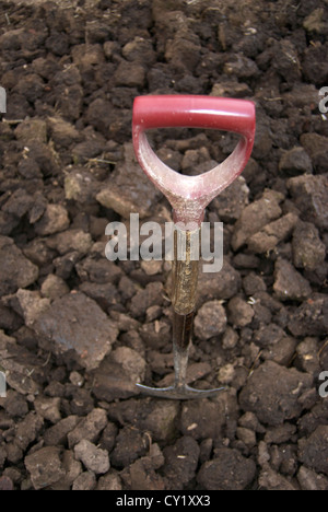 Spade dug into soil on allotment Stock Photo