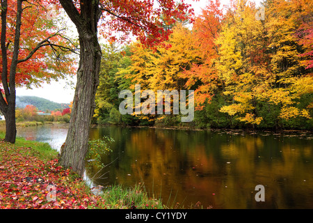 Fall, autumn, trees with bright colorful leaves in New Hampshire, New England makes a beautiful foliage scene with fall colors. Stock Photo