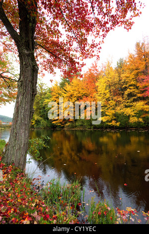 Fall, autumn, trees with bright colorful leaves in New Hampshire, New England makes a beautiful foliage scene with fall colors. Stock Photo