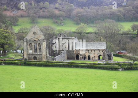 Valle Crucis Abbey, Valley of the Cross, Llangollen, Denbighshire, North Wales, Wales, United Kingdom Stock Photo