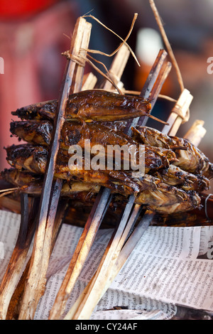 Dried Fish on a Market in Phnom Penh, Cambodia Stock Photo