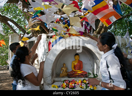 Pilgrims hanging prayer flags. The Bodhi tree. Temple of the Sacred Tooth Relic. Kandy. Sri Lanka Stock Photo