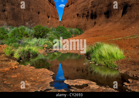 Rock walls of Walpa Gorge reflecting in a small pond. Stock Photo