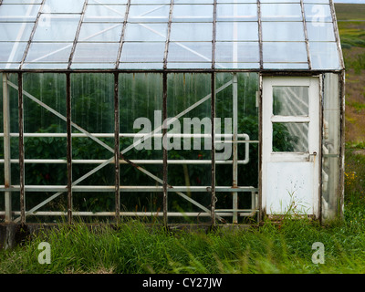 A greenhouse in Iceland Stock Photo
