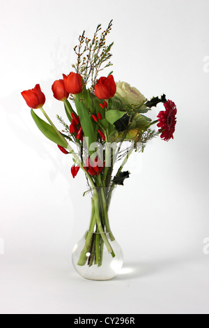 beautiful red flowers in a glass vase on a white background studio shot, still - life, photoarkive Stock Photo