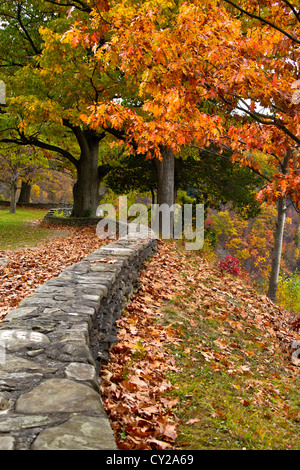 Letchworth state park, Castile, NY Stock Photo