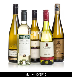 A selection of New Zealand white wines on a white background. Stock Photo