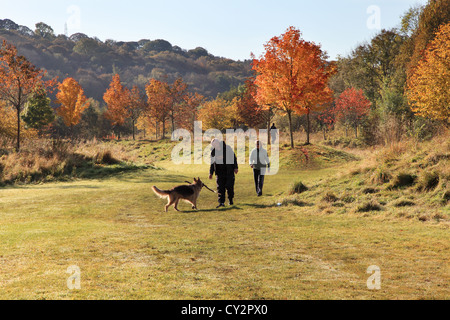 Mature couple walking with dog autumn colours Derwent Valley Country Park north east England UK Stock Photo