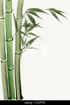 Original art, watercolor painting of bamboo, Asian style painting Stock Photo