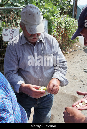 Greek man demonstrating how to peel a fig to eat, while a tourist counts money to pay.  Knossos, Crete, Greece Stock Photo