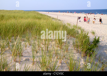 Cape Cod Massachusetts,Nauset Beach,Cape Cod National Seashore,dune,grass,sunbathers,sand,Atlantic Ocean,water,MA120817149 Stock Photo