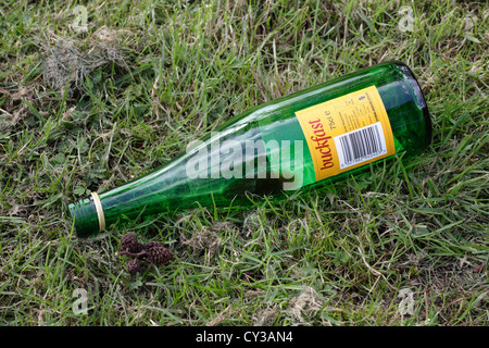 A discarded empty bottle of Buckfast tonic wine, Glasgow, Scotland, UK Stock Photo