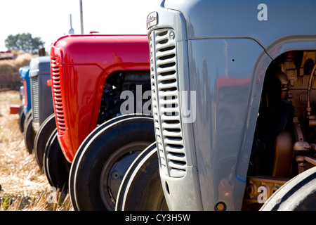 Vintage 1950s Ferguson TE20 tractors lined up at the Ingworth Trosh agricultural show in Norfolk UK. 2012. Stock Photo