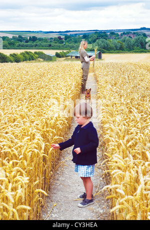 A little boy plays with wheat in a beautiful field in Wiltshire on a summers day. He's with his mother and pet dog. Stock Photo
