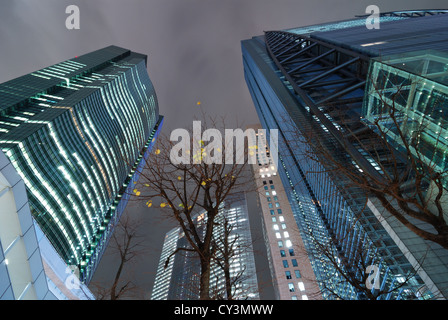 last yellow leafs on the tree between huge modern skyscrapers in Shiodome area at twilight time, Tokyo, Japan Stock Photo