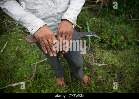 The hands of Melicio, a young farm laborer who works in the sugar cane fields. Stock Photo