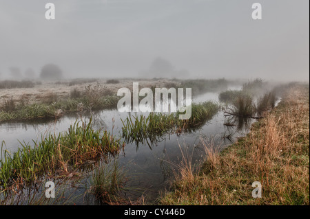 sunrise through early morning summer mist created by river Darent rising across nearby fields moody misty feeling hidden shapes Stock Photo