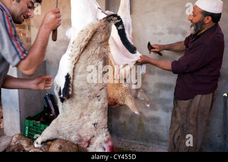 A Muslim butcher ritually slaughters, skins and butchers a sheep in preparation for a wazwan feast. Srinagar, Kashmir, India Stock Photo