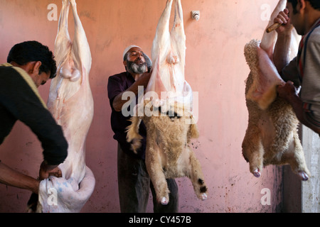 A Muslim butcher ritually slaughters, skins and butchers a sheep in preparation for a wazwan feast. Srinagar, Kashmir, India Stock Photo