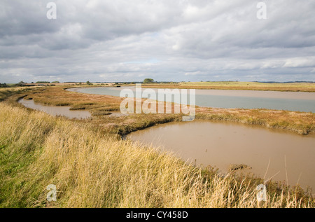 Saltings salt marsh environment Butley Creek river, Boyton, Suffolk, England Stock Photo