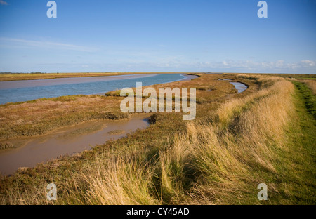 Saltings salt marsh environment Butley Creek river, Boyton, Suffolk, England Stock Photo