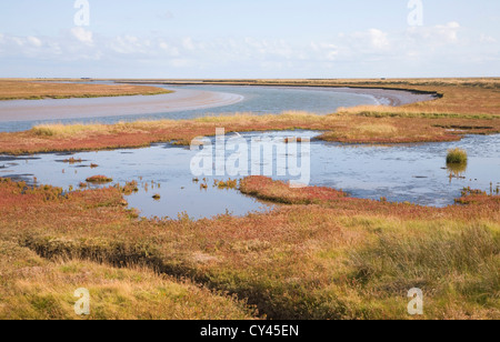 Saltings salt marsh environment Butley Creek river, Boyton, Suffolk, England Stock Photo