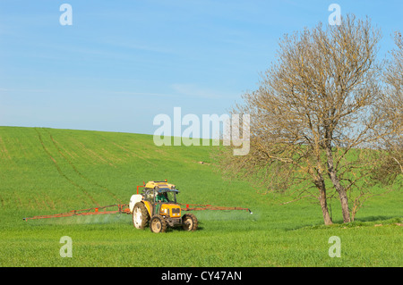Farmer in tractor spraying a green field of wheat, Alentejo, Portugal Stock Photo