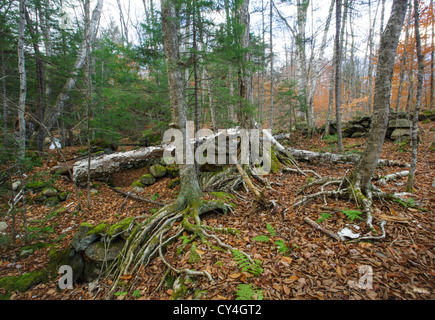 Remnants of an old sawmill along Talford Brook in Thornton, New Hampshire USA. Stock Photo