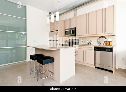 Kitchen in modern loft condo with island and stainless steel appliances Stock Photo